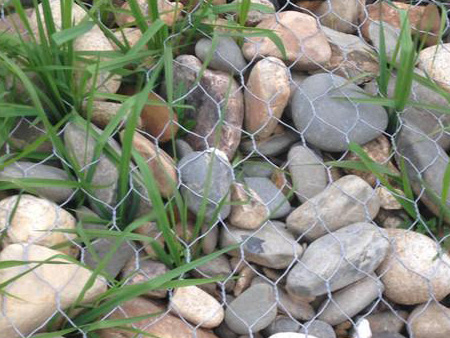 生態石籠網